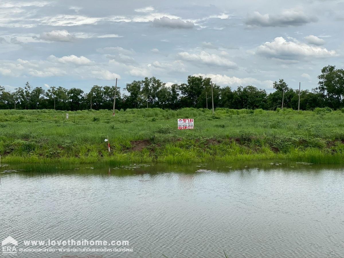 ขายที่ดิน 2 ไร่ 62 ตรว. บ้านนา นครนายก ใกล้ถนนรังสิต–นครนายก เพียง 1 กม. ติดสระน้ำ เหมาะสร้างรีสอร์ต/บ้านพักตากอากาศ