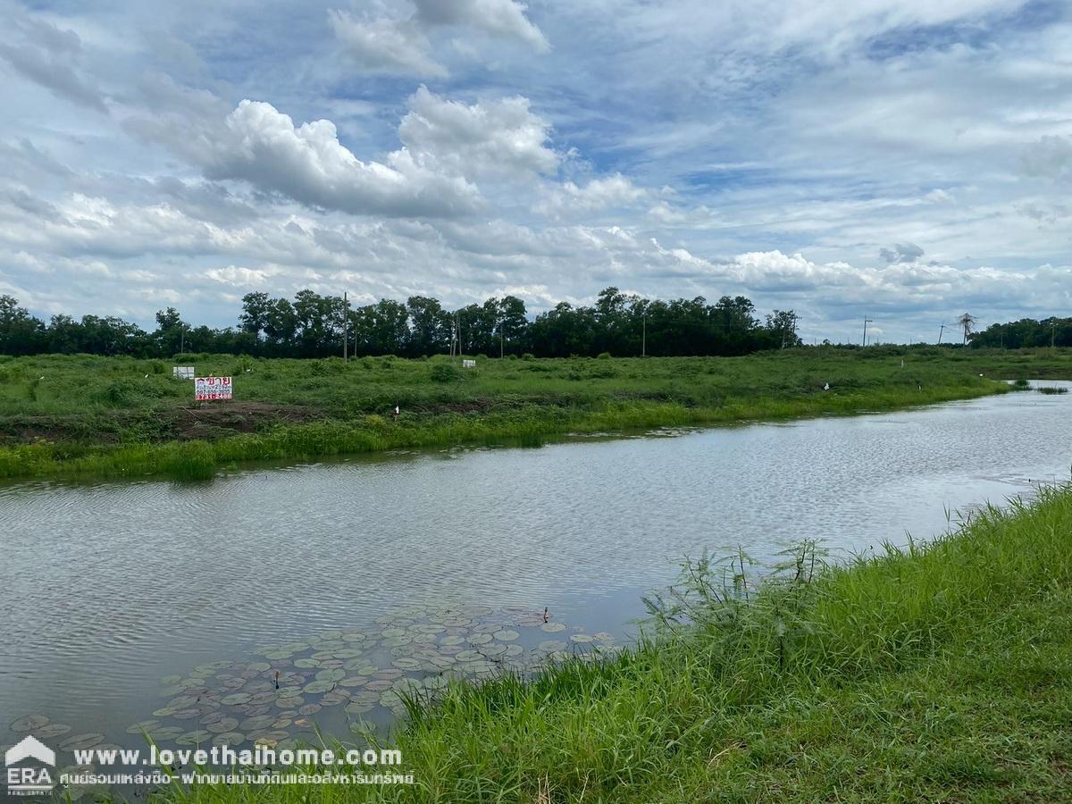 ขายที่ดิน 2 ไร่ 62 ตรว. บ้านนา นครนายก ใกล้ถนนรังสิต–นครนายก เพียง 1 กม. ติดสระน้ำ เหมาะสร้างรีสอร์ต/บ้านพักตากอากาศ