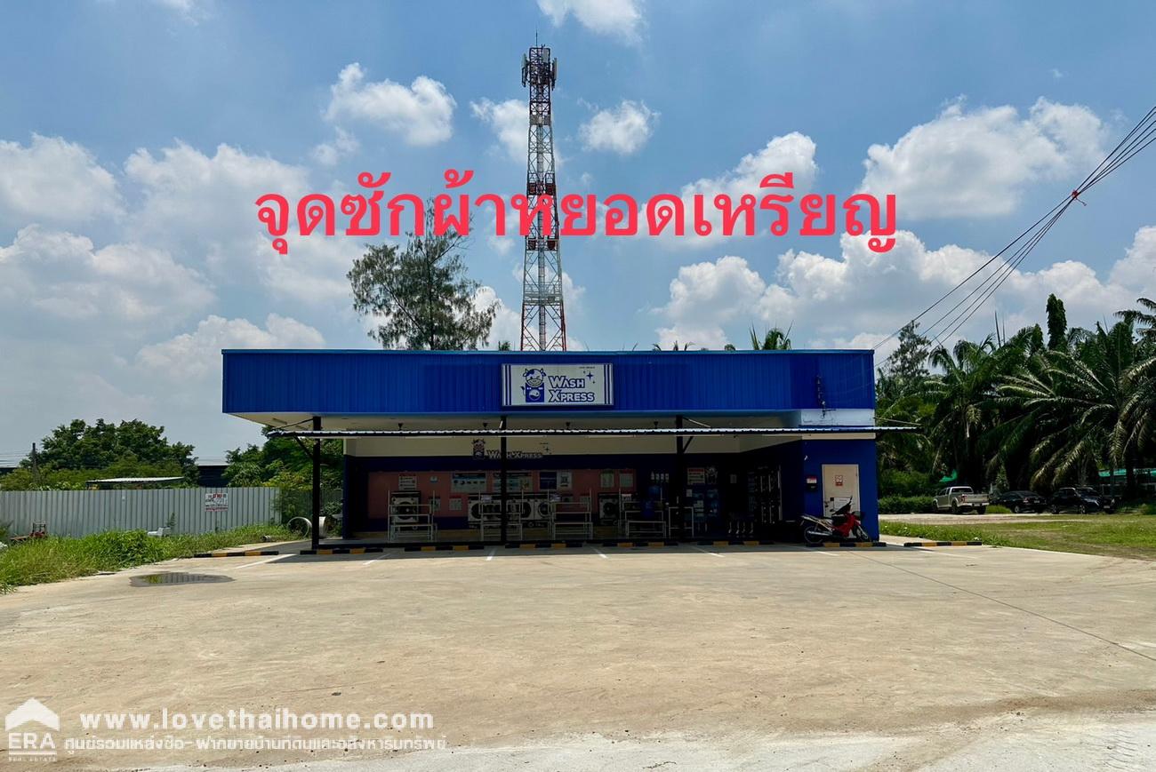 ขายบ้านเคซีการ์เด้นท์โฮม นิมิตรใหม่40 บ้านเดี่ยว 2 ชั้น 50 ตรว. ขายถูก (กำลัง Renovate ) หมู่บ้านร่มรื่น บ้านอยู่ตรงข้ามสวนสาธารณะ เพื่อนบ้านดี สภาพบ้านคุ้มราคา ใกล้ร้านสะดวกซื้อ 7-11