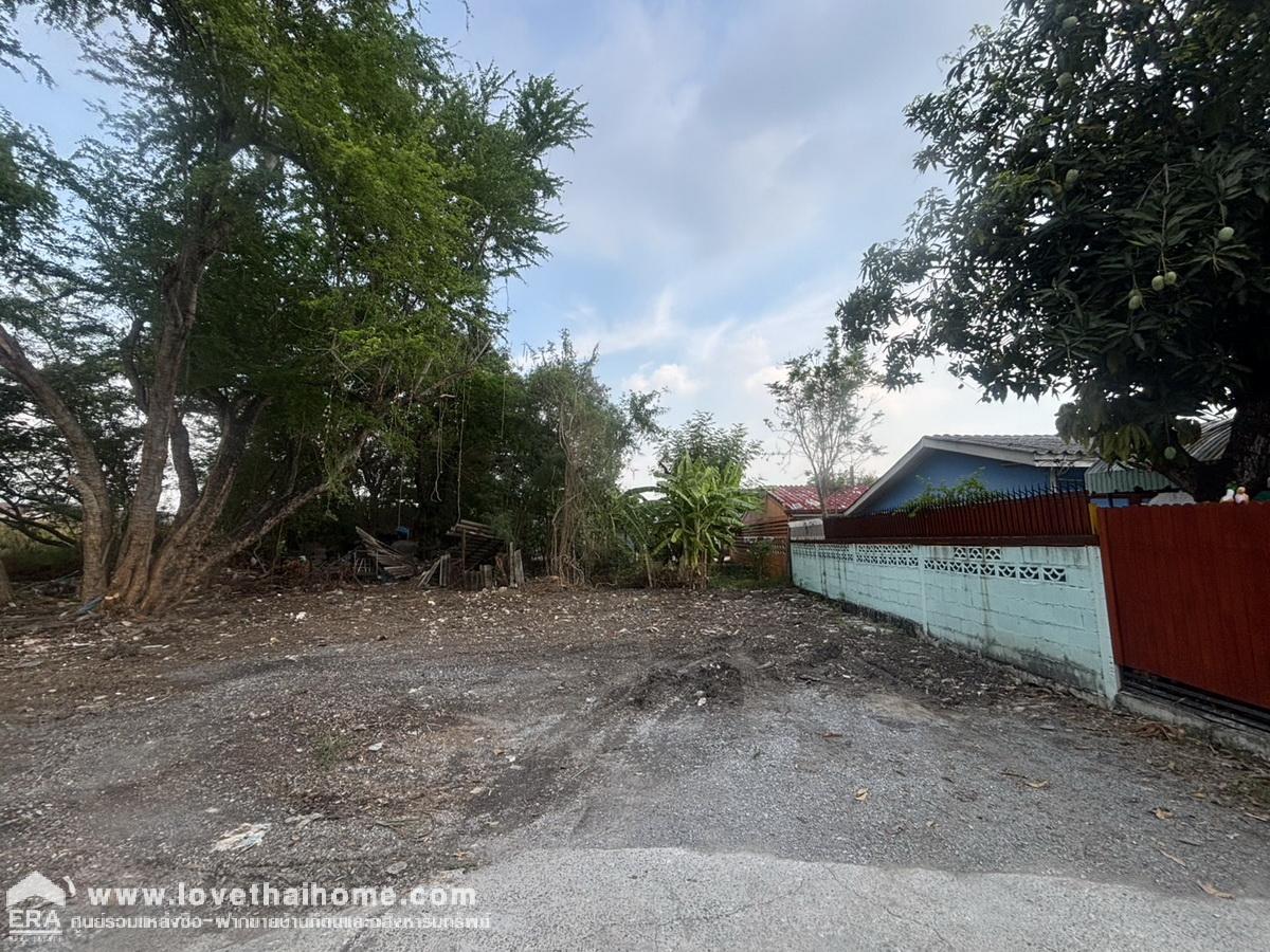 ขายที่ดินในหมู่บ้านบัวขาว ซ.รามคำแหง 174 พื้นที่ 67 ตรว. ที่ดินถมแล้ว เหมาะสร้างบ้าน ขายถูกที่สุดในซอย ใกล้รถไฟฟ้าสายสีส้ม-สถานีมีนพัฒนา