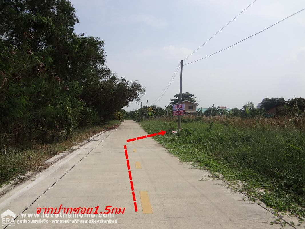 ขายที่ดิน เทพกุญชร45 คลองหลวง คลองหนึ่ง เนื้อที่ 2 งาน ใกล้ตลาดทรัพย์พยอม ออกถนนพหลโยธิน(1) ใกล้วัดคุณหญิงส้มจีน,ประตูน้ำพระอินทร์,นวนคร,วังน้อย เหมาะปลูกบ้าน,สร้างโกดัง-โรงงาน