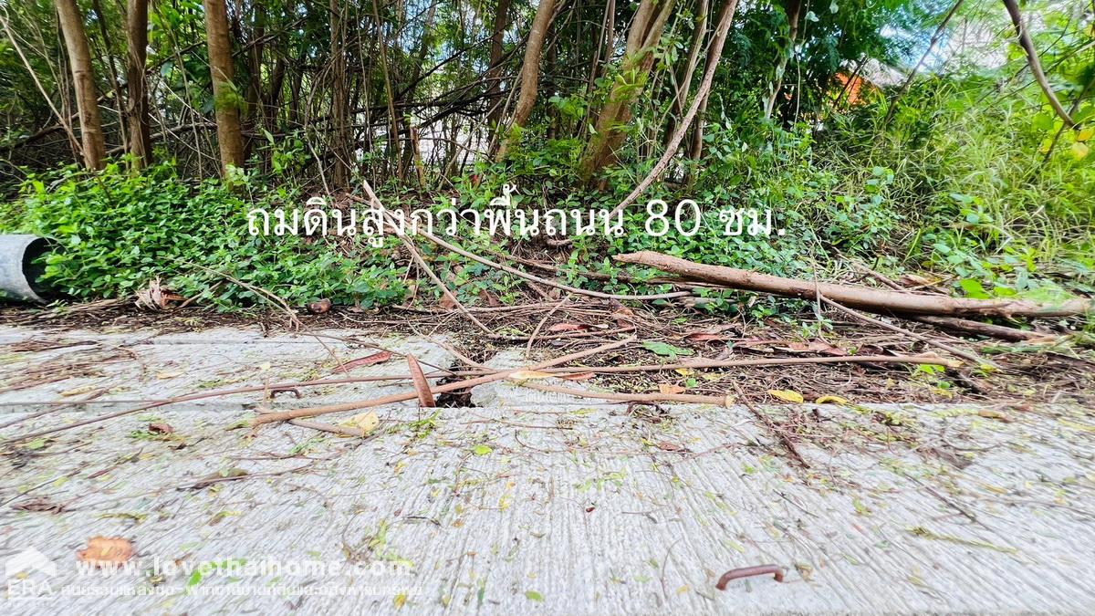 ขายที่ดินเปล่า ทวีวัฒนา ติดถนนบรมราชชนนี หมู่บ้านปัญจทรัพย์ พาร์ค พุทธมณฑลสาย3 ที่ดินถมแล้ว แปลงมุมด้านใน พื้นที่ 71 ตรว. ใกล้ทางขึ้น ทางคู่ขนานลอยฟ้าบรมราชชนนี