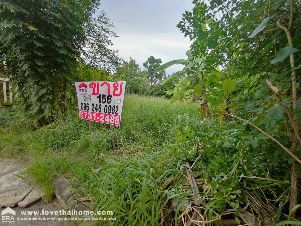ขายที่ดินมแล้ว ในหมู่บ้านชวนชื่นการ์เด้นวิลล์ ถ.307 อ.เมืองปทุมธานี จ.ปทุมธานี พื้นที่ 156.2 ตรว. ขายต่ำกว่าราคาประเมิน สภาพแวดล้อมดีมากน่าสร้างที่อยู่อาศัย เดินทางสะดวกหลายเส้นทาง