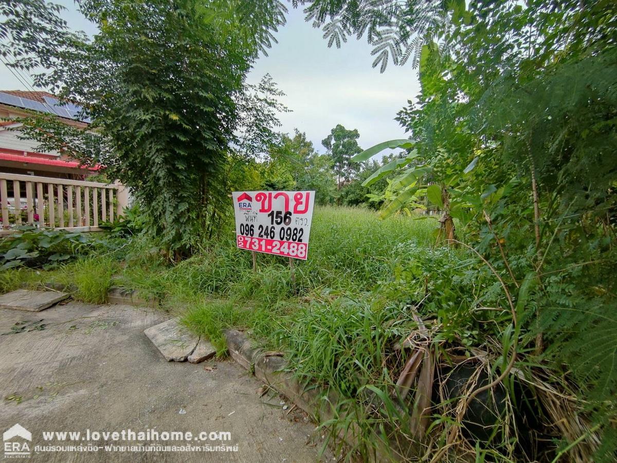 ขายที่ดินมแล้ว ในหมู่บ้านชวนชื่นการ์เด้นวิลล์ ถ.307 อ.เมืองปทุมธานี จ.ปทุมธานี พื้นที่ 156.2 ตรว. ขายต่ำกว่าราคาประเมิน สภาพแวดล้อมดีมากน่าสร้างที่อยู่อาศัย เดินทางสะดวกหลายเส้นทาง