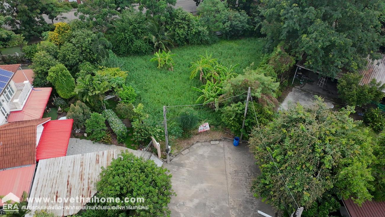 ขายที่ดินมแล้ว ในหมู่บ้านชวนชื่นการ์เด้นวิลล์ ถ.307 อ.เมืองปทุมธานี จ.ปทุมธานี พื้นที่ 156.2 ตรว. ขายต่ำกว่าราคาประเมิน สภาพแวดล้อมดีมากน่าสร้างที่อยู่อาศัย เดินทางสะดวกหลายเส้นทาง