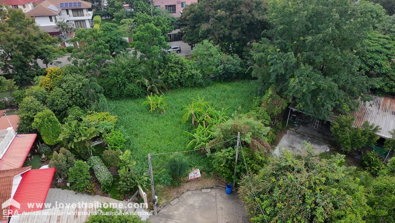 ขายที่ดินมแล้ว ในหมู่บ้านชวนชื่นการ์เด้นวิลล์ ถ.307 อ.เมืองปทุมธานี จ.ปทุมธานี พื้นที่ 156.2 ตรว. ขายต่ำกว่าราคาประเมิน สภาพแวดล้อมดีมากน่าสร้างที่อยู่อาศัย เดินทางสะดวกหลายเส้นทาง