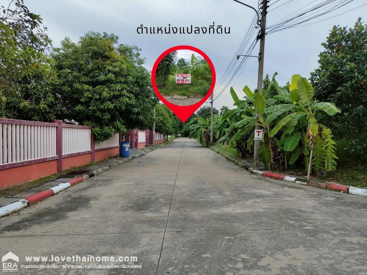 ขายที่ดินมแล้ว ในหมู่บ้านชวนชื่นการ์เด้นวิลล์ ถ.307 อ.เมืองปทุมธานี จ.ปทุมธานี พื้นที่ 156.2 ตรว. ขายต่ำกว่าราคาประเมิน สภาพแวดล้อมดีมากน่าสร้างที่อยู่อาศัย เดินทางสะดวกหลายเส้นทาง