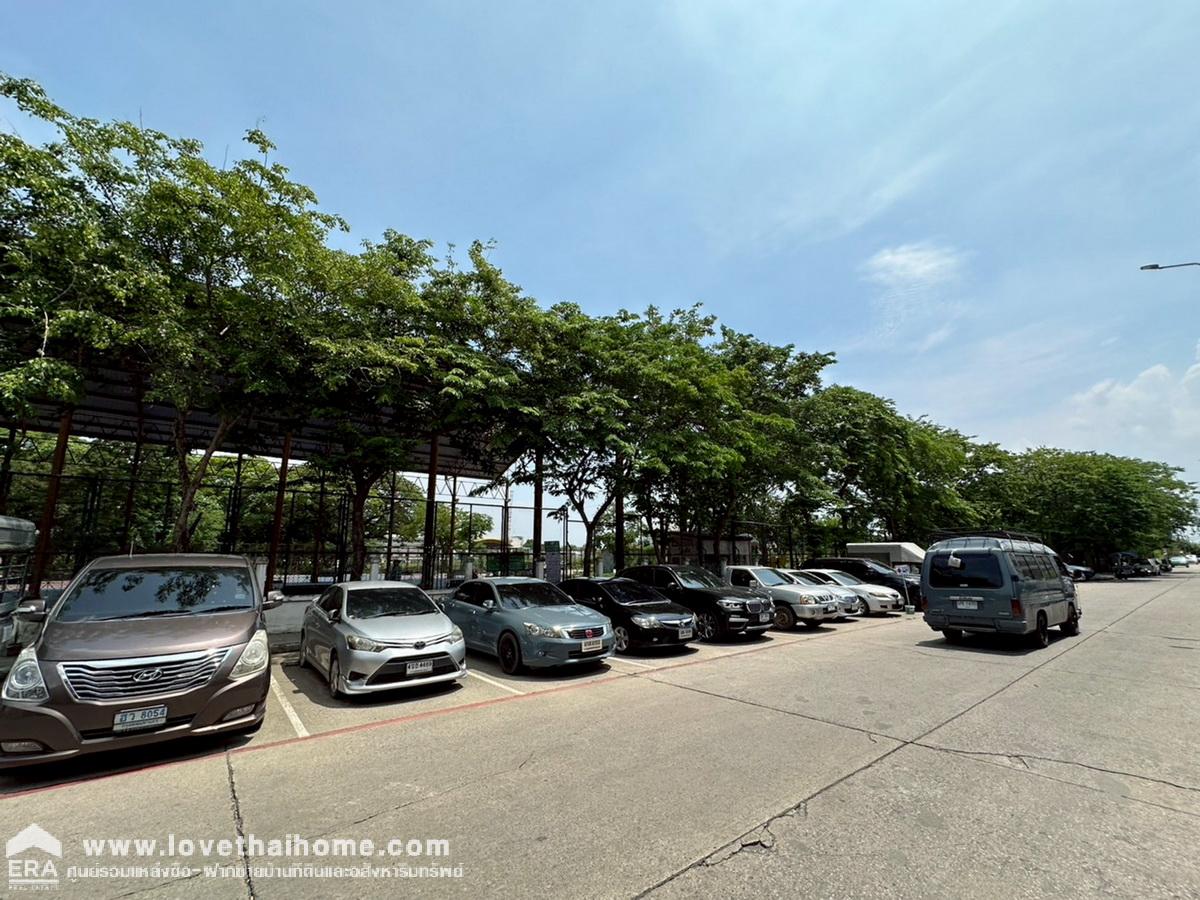 ขายตึกแถว หมู่บ้านนักกีฬาแหลมทอง ซ.กรุงเทพกรีฑา3 ย่านประเวศ อาคารพาณิชย์ 2 ชั้นครึ่งมีดาดฟ้า 17.7 ตรว. พร้อมใช้งาน ใกล้มอเตอร์เวย์ และทางด่วน เหมาะเปิดร้านค้า/ออฟฟิศ หรือปล่อยเช่า