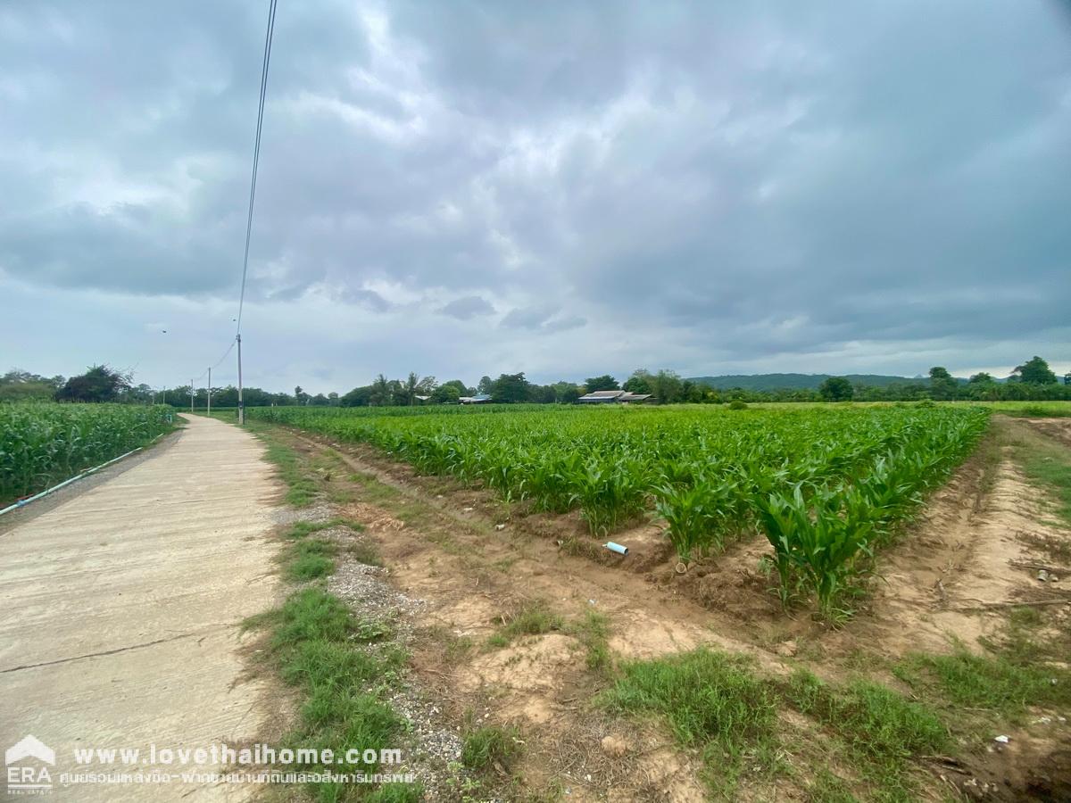 ขายที่ดินอำเภอเมืองกาญจนบุรี ต.วังเย็น พื้นที่ 7 ไร่ ติดแม่น้ำแถมบ้านตากอากาศ 2 ชั้น