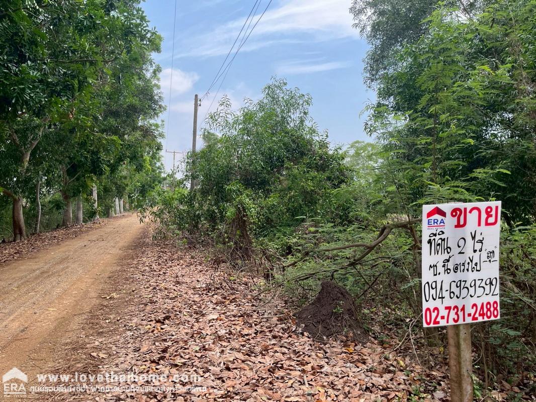 ขายที่ดิน หนองเสือ คลอง14 ซอยศาลาครุ10 ต.ศาลาครุ อ.หนองเสือ จ.ปทุมธานี พื้นที่ 2 ไร่ เป็นที่นา ลดสุดๆ ถ้าสนใจจริงๆ คุ้มมากค่ะ