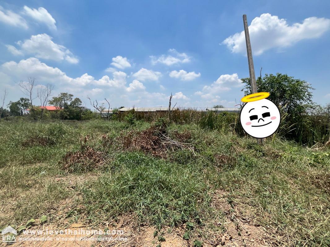 ขายที่ดิน ซอยบงกช คลองหลวง คลอง2 พื้นที่ 2 ไร่ แปลงสวย ถมแล้ว อยู่ติดกับหมู่บ้านเอสเกต พรีเมียม (S GATE PREMIUM) รังสิต-คลองหลวง