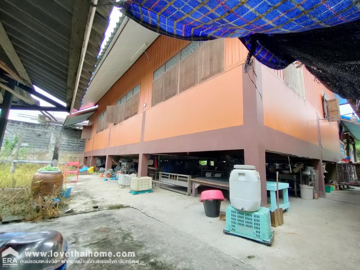 ขายที่ดินพร้อมบ้านชั้นเดียว ติดถนนเลียบคลอง10 รังสิต-นครนายก หนองเสือ พื้นที่ 400 ตรว. สามารถทำสวนได้อยู่ติดถนน หน้ากว้าง 20 เมตร