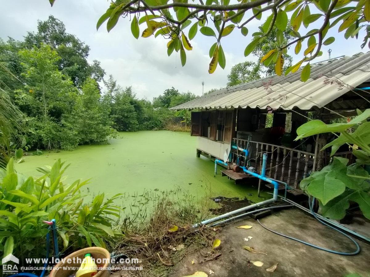 ขายที่ดินพร้อมบ้านชั้นเดียว ติดถนนเลียบคลอง10 รังสิต-นครนายก หนองเสือ พื้นที่ 400 ตรว. สามารถทำสวนได้อยู่ติดถนน หน้ากว้าง 20 เมตร