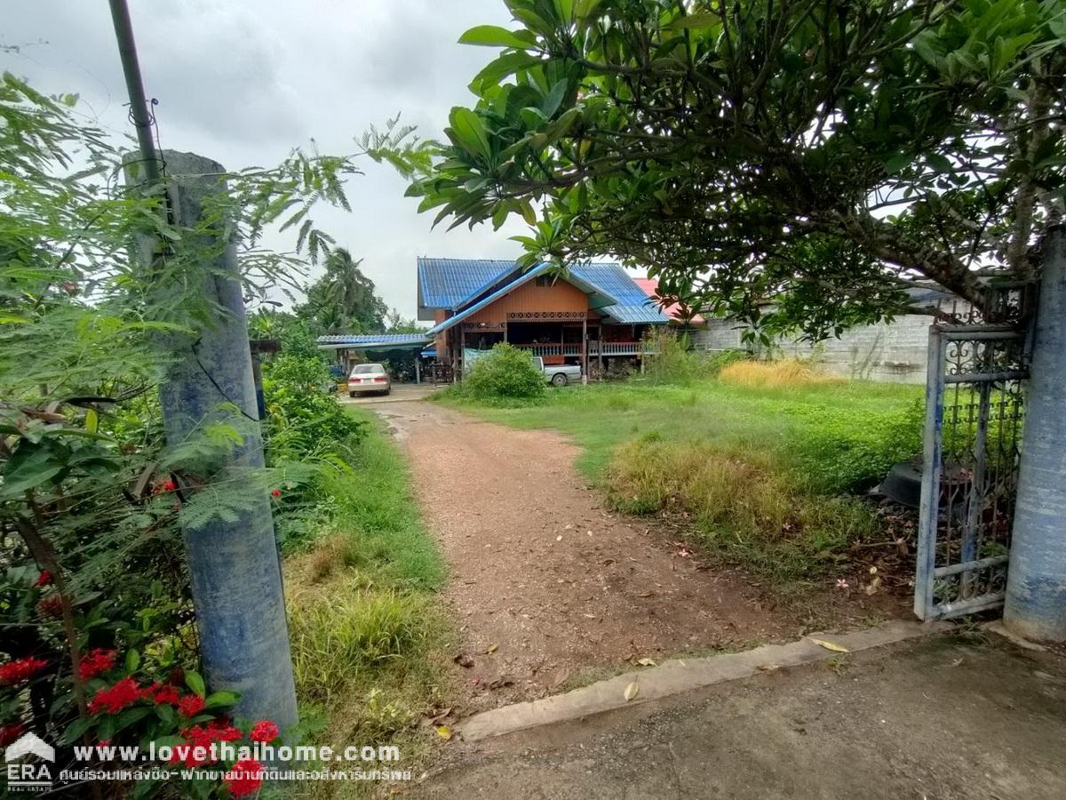 ขายที่ดินพร้อมบ้านชั้นเดียว ติดถนนเลียบคลอง10 รังสิต-นครนายก หนองเสือ พื้นที่ 400 ตรว. สามารถทำสวนได้อยู่ติดถนน หน้ากว้าง 20 เมตร