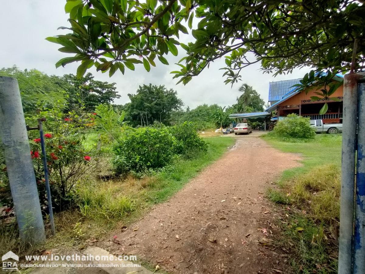 ขายที่ดินพร้อมบ้านชั้นเดียว ติดถนนเลียบคลอง10 รังสิต-นครนายก หนองเสือ พื้นที่ 400 ตรว. สามารถทำสวนได้อยู่ติดถนน หน้ากว้าง 20 เมตร
