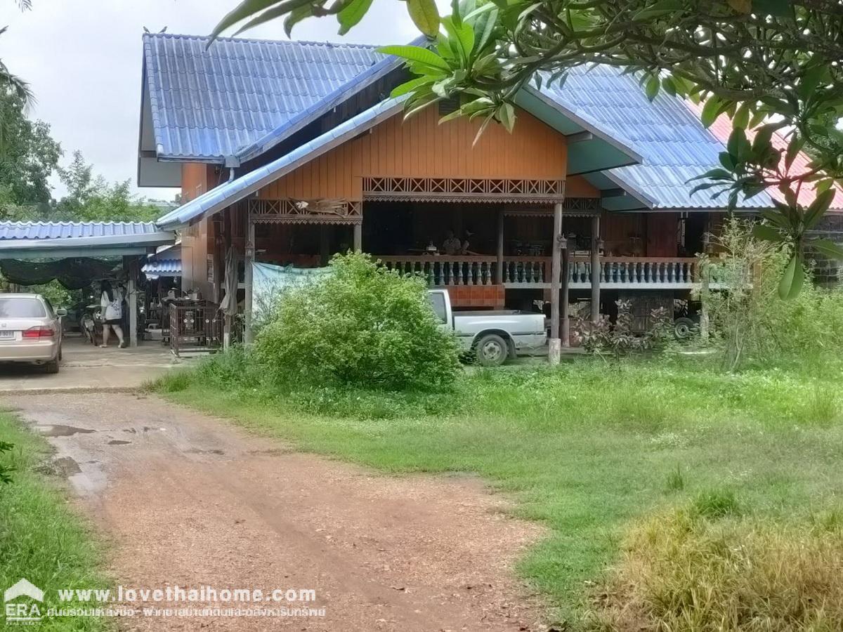 ขายที่ดินพร้อมบ้านชั้นเดียว ติดถนนเลียบคลอง10 รังสิต-นครนายก หนองเสือ พื้นที่ 400 ตรว. สามารถทำสวนได้อยู่ติดถนน หน้ากว้าง 20 เมตร