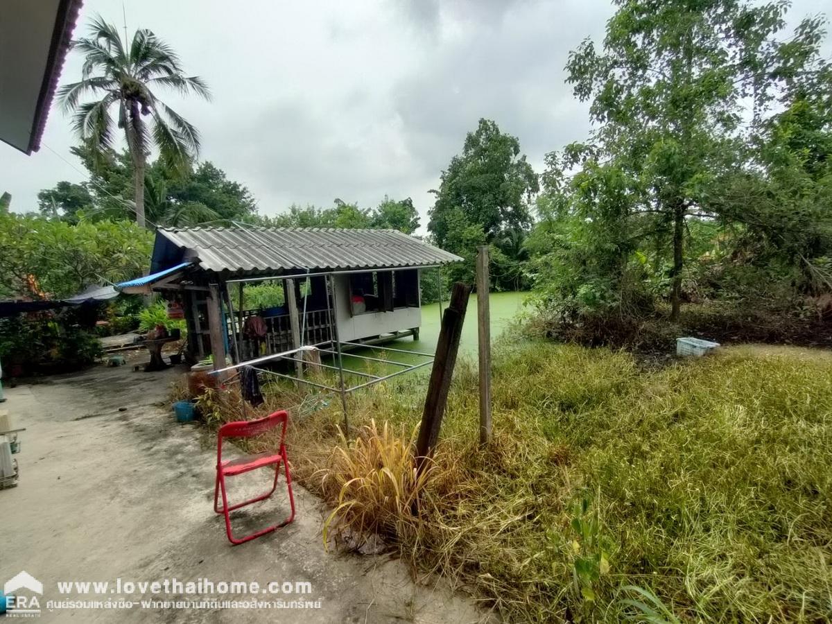 ขายที่ดินพร้อมบ้านชั้นเดียว ติดถนนเลียบคลอง10 รังสิต-นครนายก หนองเสือ พื้นที่ 400 ตรว. สามารถทำสวนได้อยู่ติดถนน หน้ากว้าง 20 เมตร