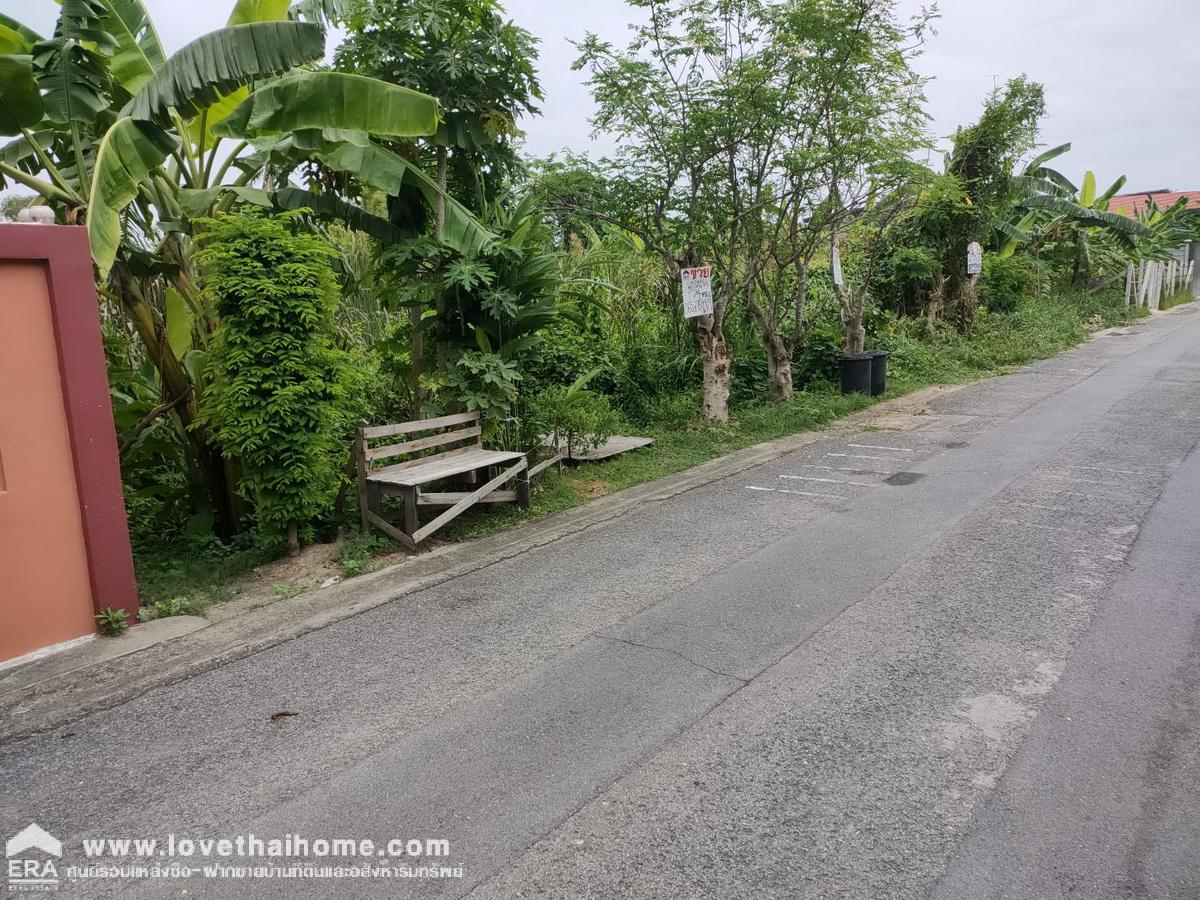 ขายที่ดิน บางแวก 156 ภาษีเจริญ พื้นที่ 174 ตรว. หน้ากว้าง 30 ม. ใกล้ ถ.พุทธมณฑลสาย 4 เชื่อม ถ.พรานนก สภาพแวดล้อมดีมาก