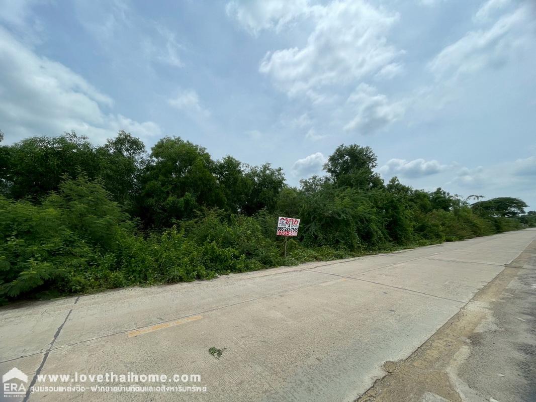 ขายที่ดิน ซอยไอยรา29 แยก2 คลองหลวง คลอง2 พื้นที่ 3 ไร่ ขายเพียงแค่8,000/ตรว.เท่านั้น กล้าพูดได้เลยว่าถูกโคตรๆ 