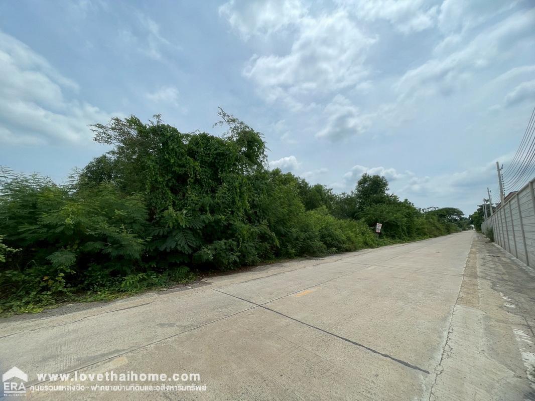 ขายที่ดิน ซอยไอยรา29 แยก2 คลองหลวง คลอง2 พื้นที่ 3 ไร่ ขายเพียงแค่8,000/ตรว.เท่านั้น กล้าพูดได้เลยว่าถูกโคตรๆ 