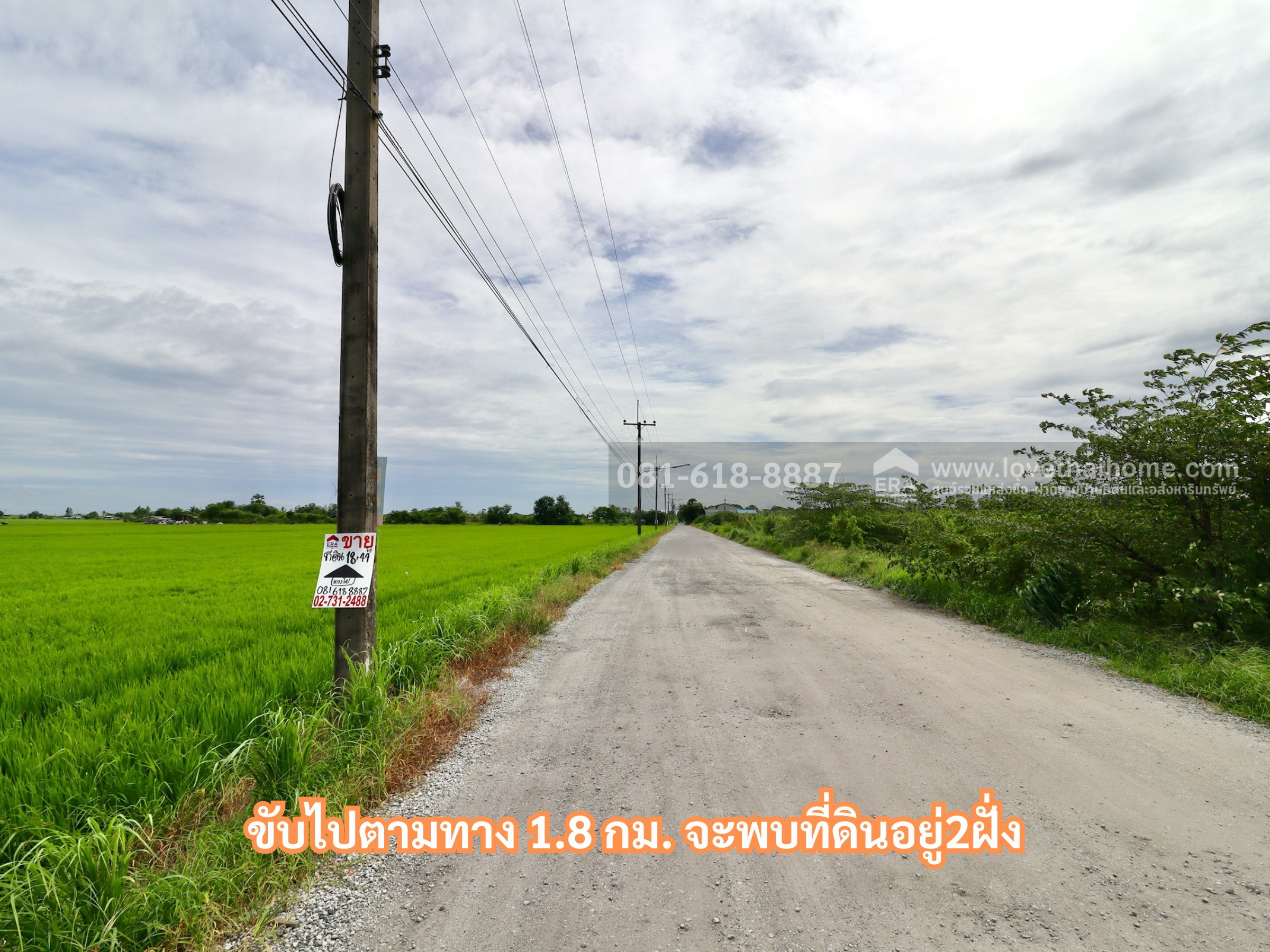 ขายที่ดิน ถนนบางน้ำเปรี้ยว ตำบลโพรงอากาศ ฉะเชิงเทรา เนื้อที่ 18ไร่ ด้านหลังติดคลอง ทำกิจการใดก็สะดวก