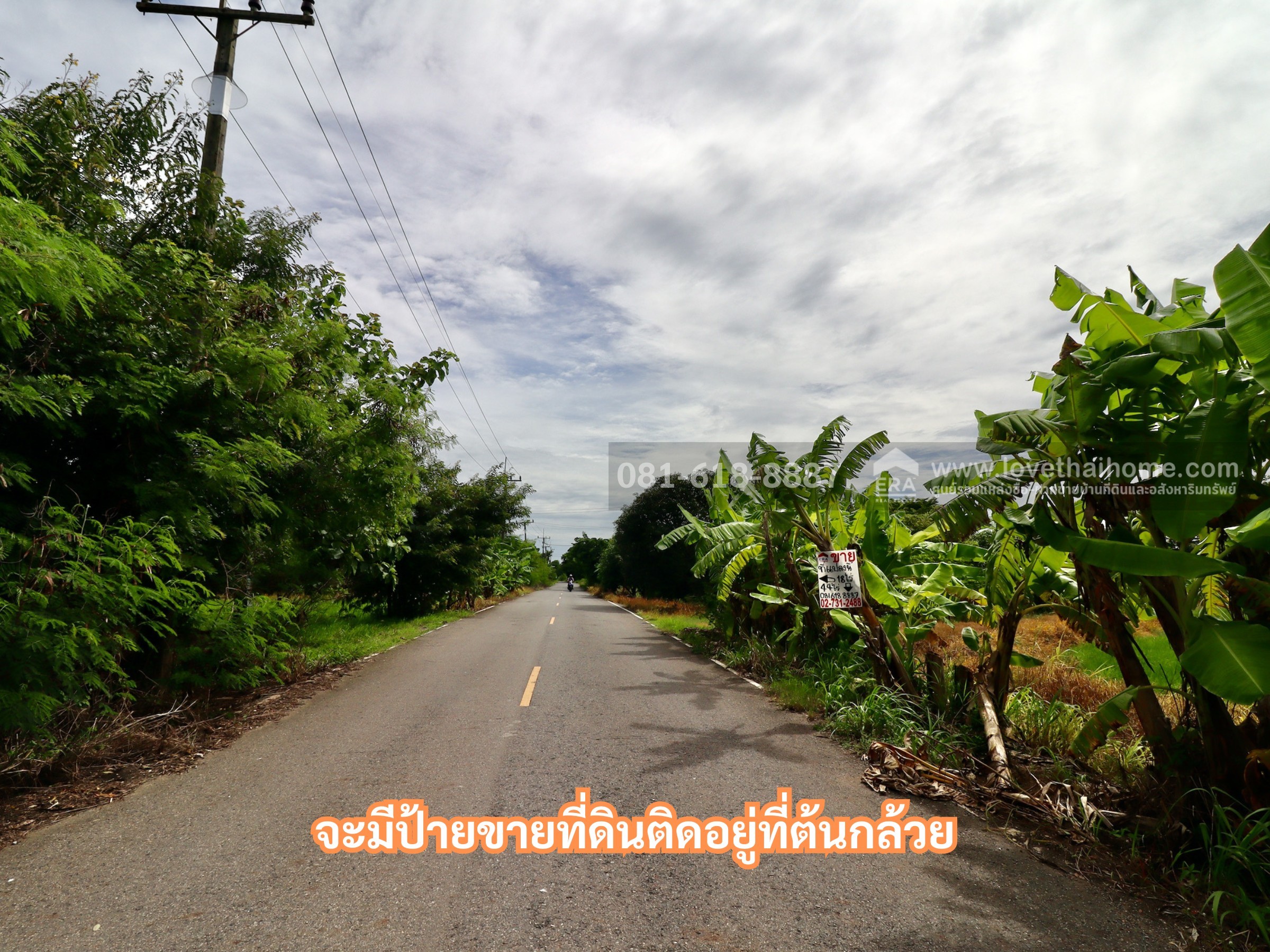 ขายที่ดิน ถนนบางน้ำเปรี้ยว ตำบลโพรงอากาศ ฉะเชิงเทรา เนื้อที่ 18ไร่ ด้านหลังติดคลอง ทำกิจการใดก็สะดวก