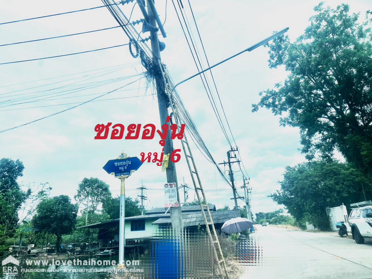 ขายบ้านเดี่ยว 2 ชั้น ซอยวัดราษฏร์ศรัทธาทำ บางหลวง ปทุมธานี 150 ตร.วา ใกล้ ถนนราชพฤกษ์- กาญจนาภิเษก วิวธรรมชาติทุ่งนา