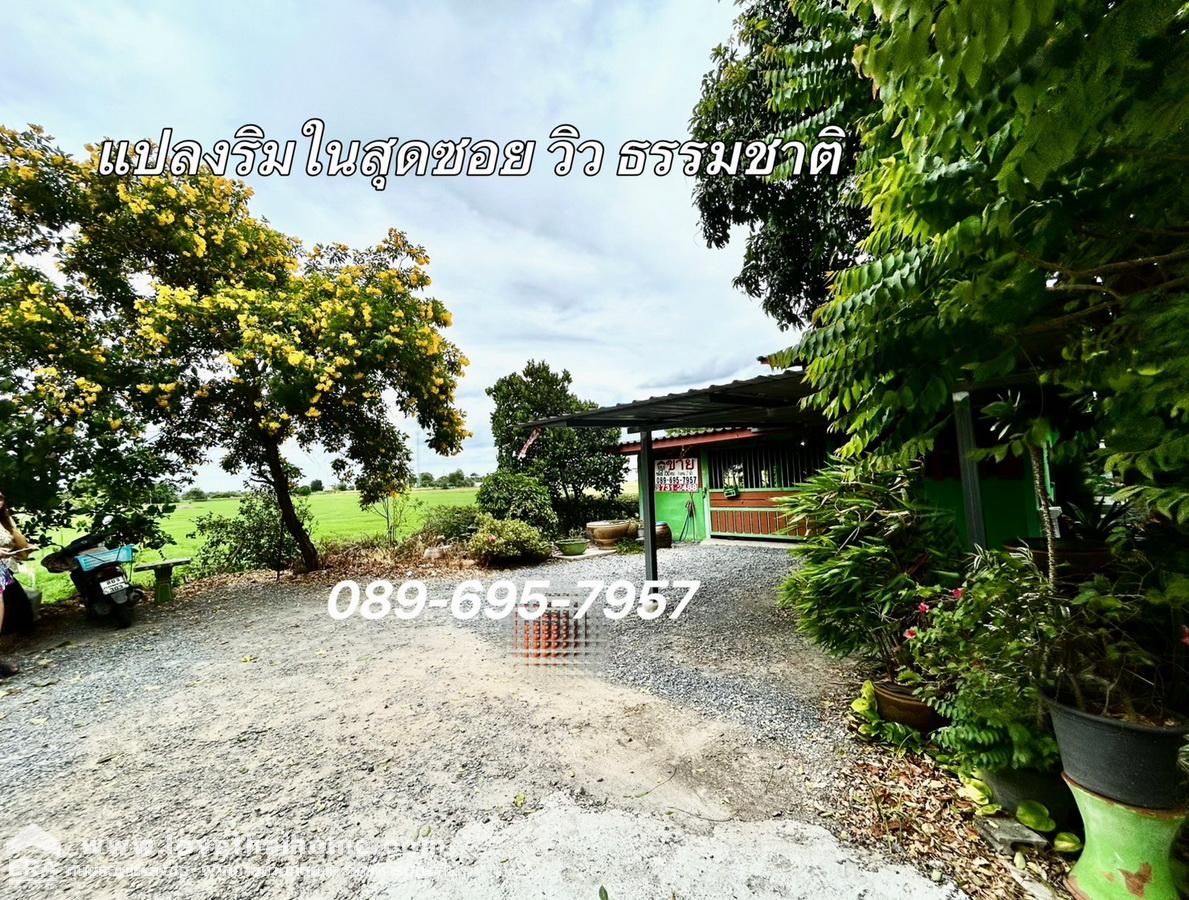 ขายบ้านเดี่ยว 2 ชั้น ซอยวัดราษฏร์ศรัทธาทำ บางหลวง ปทุมธานี 150 ตร.วา ใกล้ ถนนราชพฤกษ์- กาญจนาภิเษก วิวธรรมชาติทุ่งนา