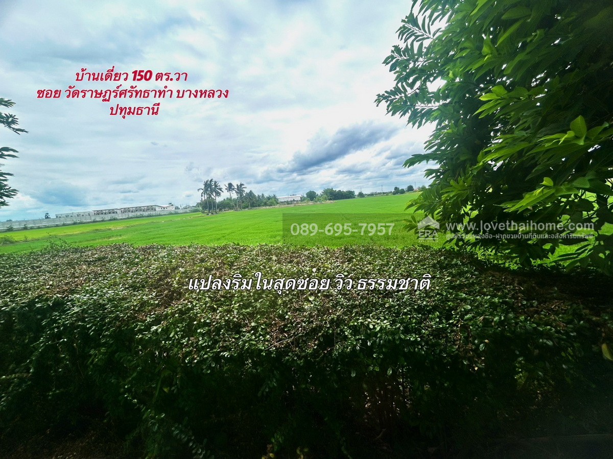 ขายบ้านเดี่ยว 2 ชั้น ซอยวัดราษฏร์ศรัทธาทำ บางหลวง ปทุมธานี 150 ตร.วา ใกล้ ถนนราชพฤกษ์- กาญจนาภิเษก วิวธรรมชาติทุ่งนา