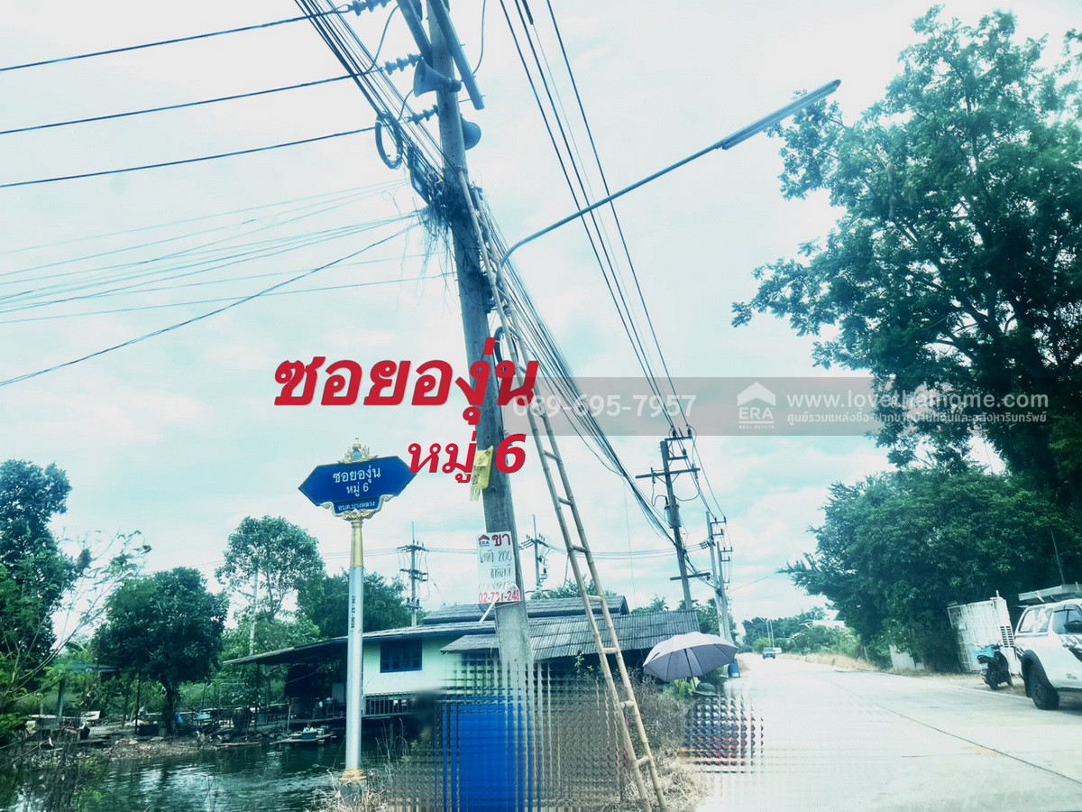 ขายบ้านเดี่ยว 2 ชั้น ซอยวัดราษฏร์ศรัทธาทำ บางหลวง ปทุมธานี 150 ตร.วา ใกล้ ถนนราชพฤกษ์- กาญจนาภิเษก วิวธรรมชาติทุ่งนา