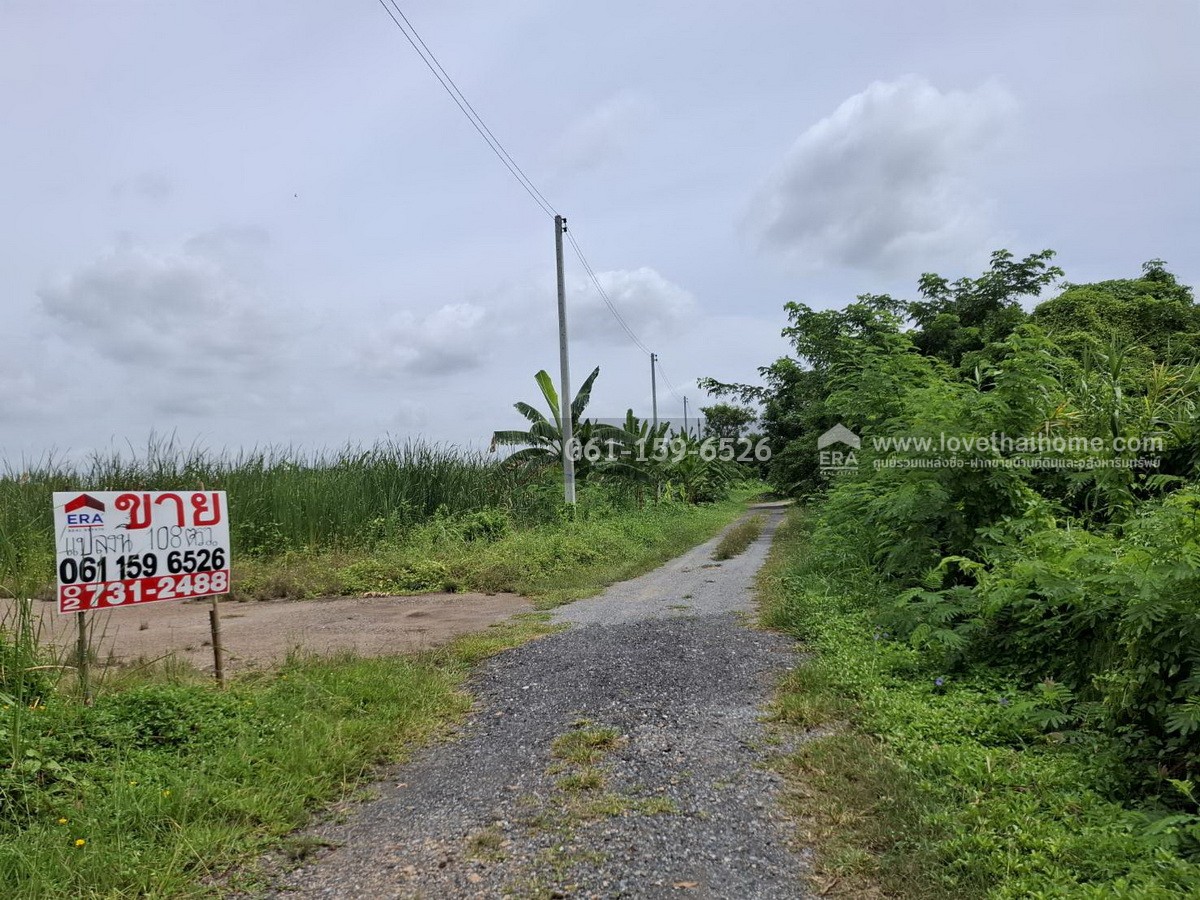 ขายที่ดินถมแล้ว ถ.เจริญทำ (พุทธมณฑลสาย 5) ต.บางเตย สามพราน นครปฐม 108 ตร.วา แปลงสวย สี่เหลี่ยม ถนนหน้าที่ดินกว้าง 8 เมตร