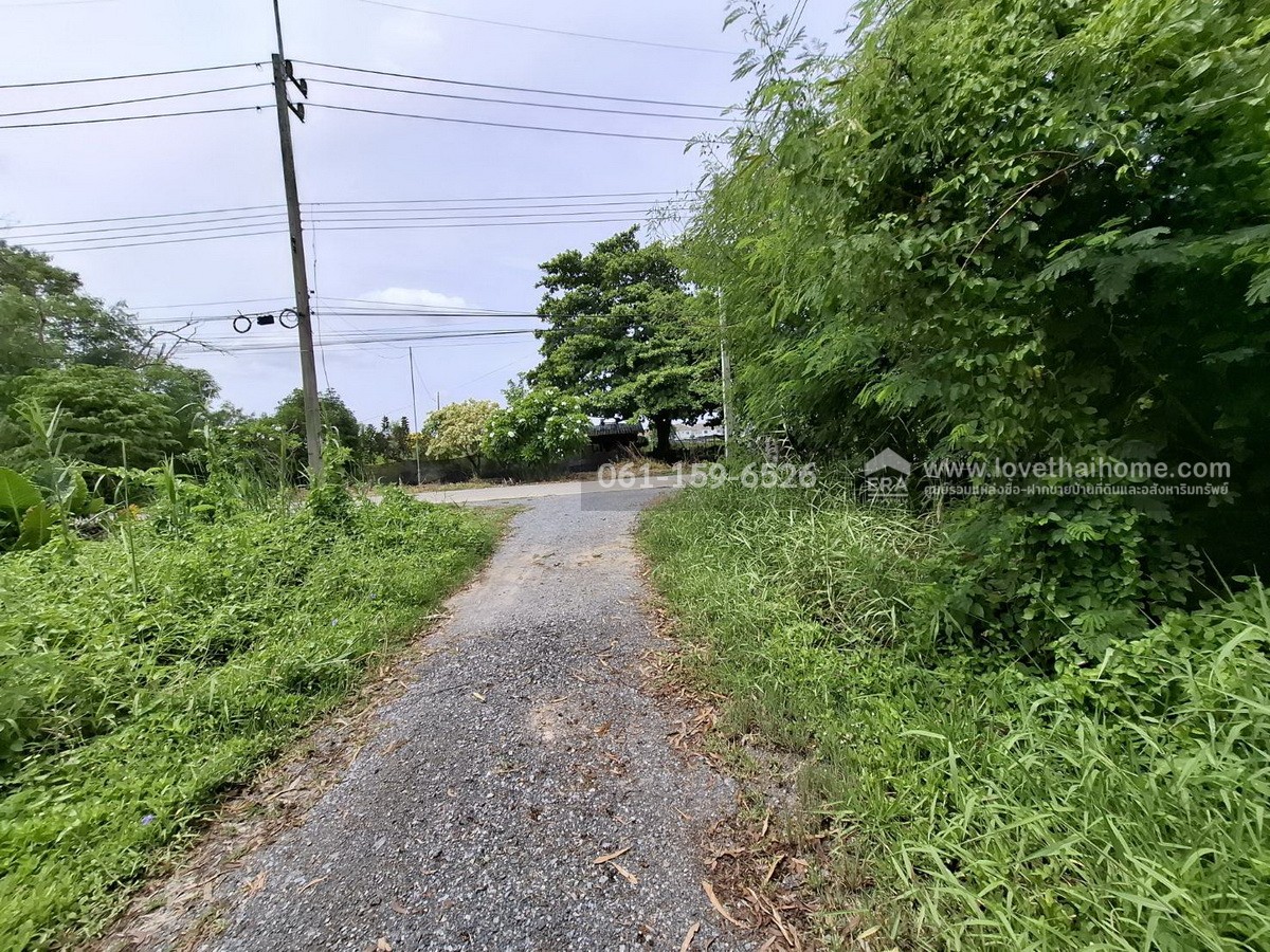 ขายที่ดินถมแล้ว ถ.เจริญทำ (พุทธมณฑลสาย 5) ต.บางเตย สามพราน นครปฐม 108 ตร.วา แปลงสวย สี่เหลี่ยม ถนนหน้าที่ดินกว้าง 8 เมตร