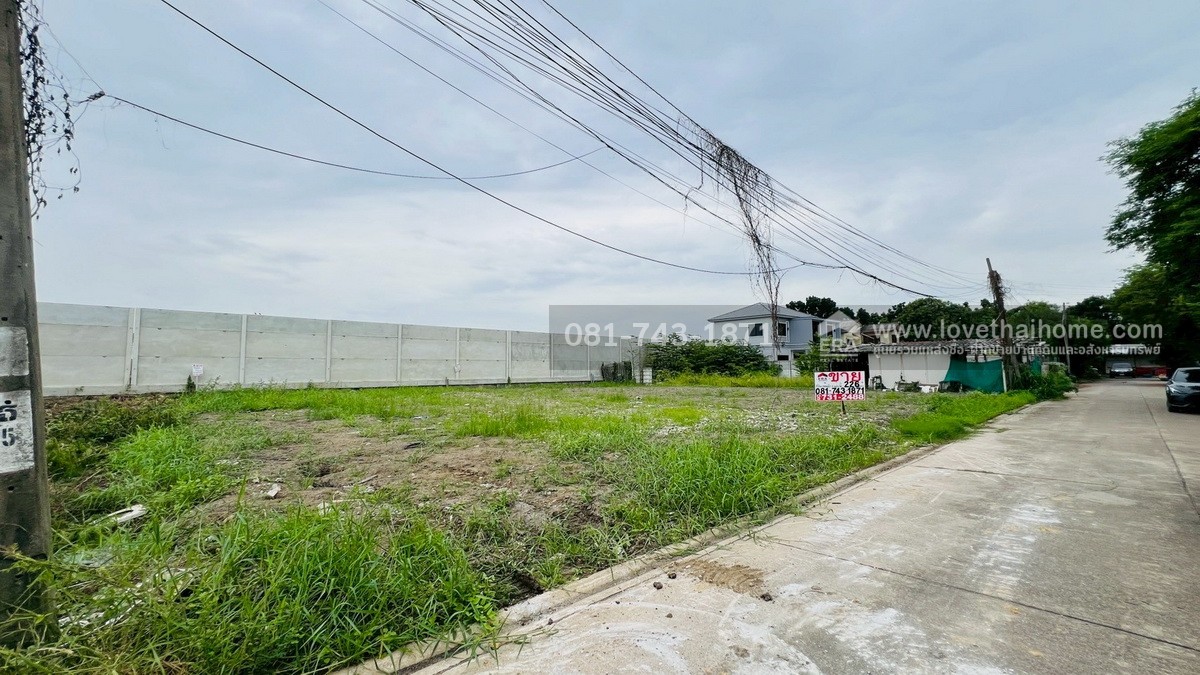 ขายที่ดินถมแล้ว พุทธมณฑลสาย2 ซอย21 หลังแปลงติดหมู่บ้านลัดดารมย์ พุทธมณฑลสาย2 ขนาด 226 ตรว. แปลงสวย วาละ 27,000 บาท ราคานี้ไม่แพงแล้วนะ แบ่งขายได้ด้วยนะ