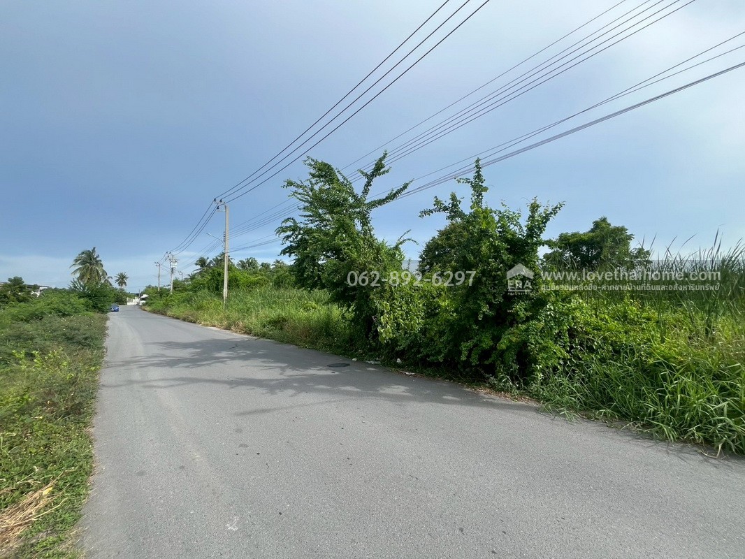 ขายที่ดิน แปลงสวย ซอยประชาอุทิศ76 บางขุนเทียน ขนาด 10 ไร่ ทำเลดี แปลงใหญ่ ติดถนนสาธารณะ ที่สวย ทำเลทอง สนใจโทร. 062-892-6297