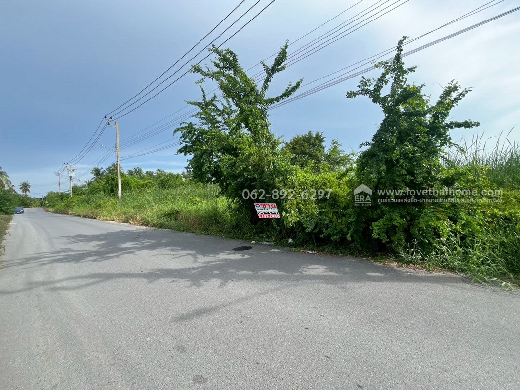 ขายที่ดิน แปลงสวย ซอยประชาอุทิศ76 บางขุนเทียน ขนาด 10 ไร่ ทำเลดี แปลงใหญ่ ติดถนนสาธารณะ ที่สวย ทำเลทอง สนใจโทร. 062-892-6297