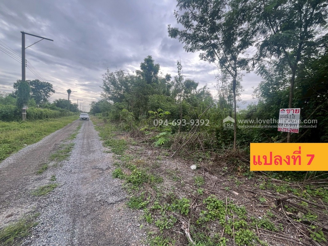ขายที่ดิน ถนนรังสิต-นครนายก คลอง11 พื้นที่ 2 ไร่ สวย ถูก พร้อมโอนจร้า! หน้ากว้าง 38 x 44 เมตร ถมแล้ว