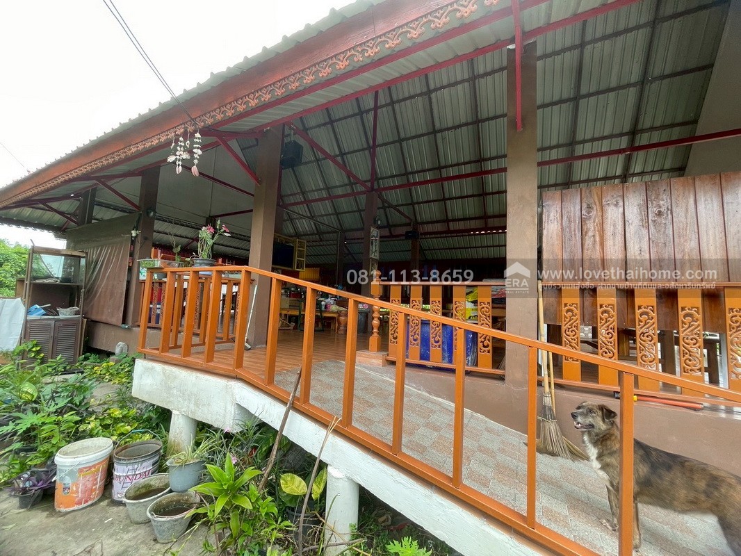 ขายที่ดิน ถนนสุวินทวงศ์ ซอยร่วมพัฒนา6 หนองจอก แถมบ้านทรงไทย 2 หลัง พื้นที่ 4 ไร่ 1 งาน 12 ตรว. แบ่งแปลง 17 แปลง เหมาะสร้างบ้านจัดสรร ใกล้สนง.ขนส่งกรุงเทพมหานครพื้นที่4