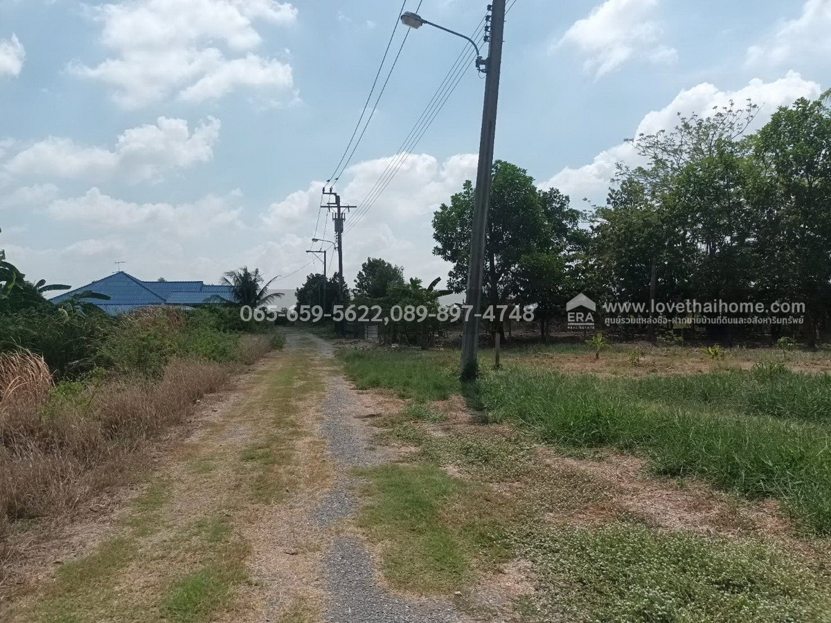 ขายที่ดินราคาถูกคลองเก้า ซอยบัวรุ่ง หนองจอก 100 ตรว. ใกล้ศูนย์บริหารอิสลามแห่งประเทศไทย ห่างประมาณ 100 กว่าเมตร