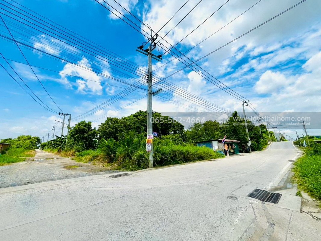 ขายที่ดิน คุ้มเกล้า50 ลำปลาทิว ลาดกระบัง พื้นที่ 390 ตรว. แปลงมุม ผังสีม่วง ยังไม่ถม หน้ากว้าง 48 เมตร ลึก 35 เมตร ใกล้ศูนย์กระจายสินค้า ICD ลาดกระบัง