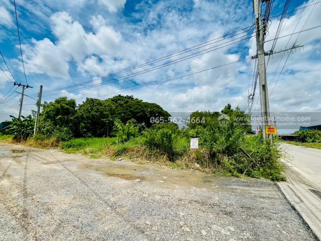 ขายที่ดิน คุ้มเกล้า50 ลำปลาทิว ลาดกระบัง พื้นที่ 390 ตรว. แปลงมุม ผังสีม่วง ยังไม่ถม หน้ากว้าง 48 เมตร ลึก 35 เมตร ใกล้ศูนย์กระจายสินค้า ICD ลาดกระบัง