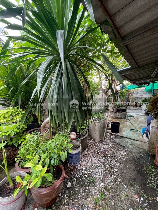 ขายบ้านเดี่ยว 2 ชั้น ซอยเพชรเกษม69 หมู่บ้านศุภวรรณ1 ขนาดพอเหมาะ 48 ตรว. ราคาเข้าถึงได้พร้อมให้คุณเป็นเจ้าของ ทำเลดี สภาพดี พร้อมเข้าอยู่ ใกล้รถไฟฟ้า MRT สถานีหลักสอง จากปากซอยเข้ามาเพียง 300 เมตร
