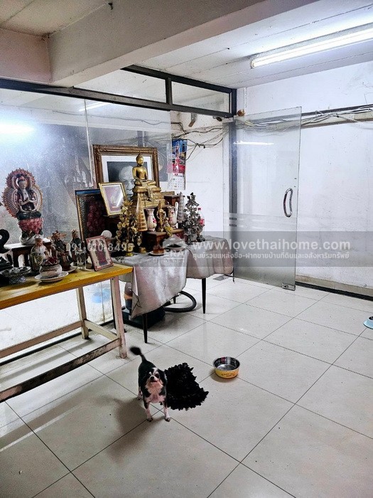 ขายตึกแถว ติดถนนปทุมธานี–กรุงเทพฯ สูง 4.5 ชั้น 2 คูหาติดกัน 45 ตร.วา ทำเลค้าขาย ต้องรีโนเวทใหม่ (เดิมเคยเปิดเป็นธุรกิจร้านทอง)