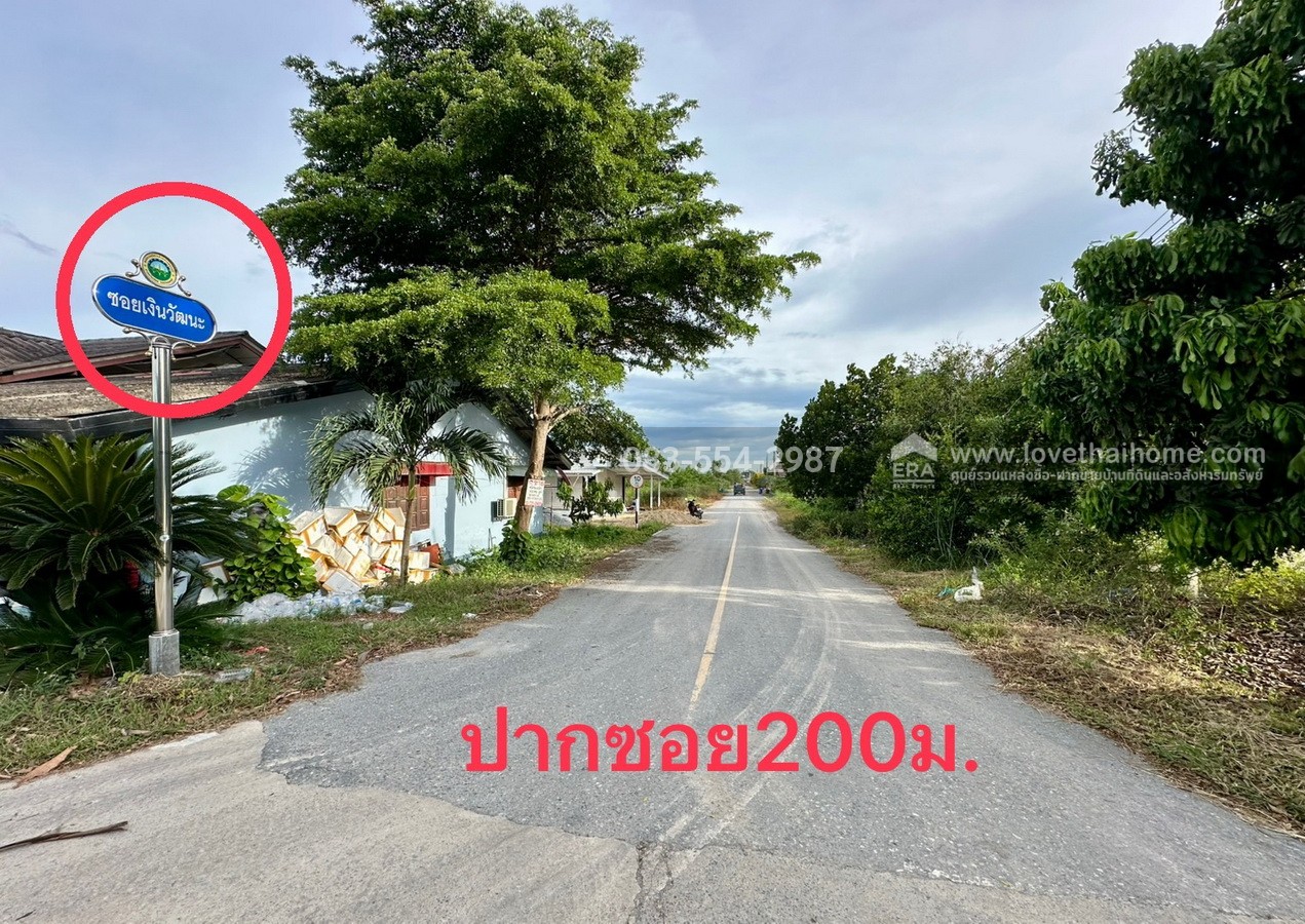 ขายที่ดินราคาถูก ต.ขุนศรี อ.ไทรน้อย จ.นนทบุรี ใกล้วัดสโมสร 300 ตร.วา (30x40 ม.) ซ.เงินวัฒนะ จากถนนใหญ่ ปทุมธานี–บางเลน เพียง 3 กม. ที่ดินมีอนาคต เหมาะลงทุน,สร้างโกดัง และบ้านพักคนงาน