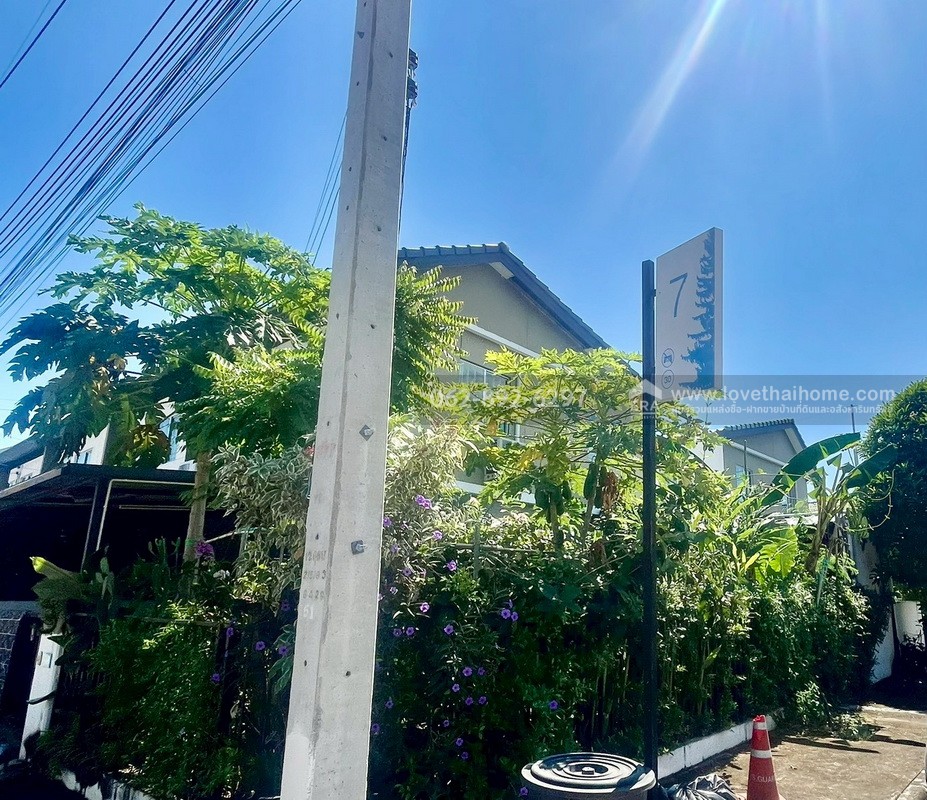 ขายทาวน์เฮ้าส์ หมู่บ้านพฤกษา รังสิต-คลอง4 โครงการ2 พื้นที่17.4ตรว. ขายเพียงแค่1.45ล้านเท่านั้น ในโครงการนี้หาราคาถูกกว่านี้ไม่มีอีกแล้วค่ะ 