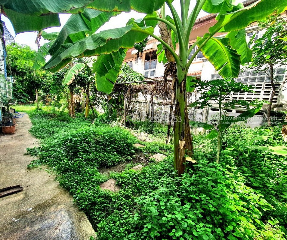 ขายบ้านเดี่ยว หมู่บ้านแสงชัยนิเวศน์ ปทุมธานี พื้นที่ 100 ตรว. ใกล้ รพ.ปทุมธานี,บิ๊กซี ปทุมธานี และโลตัสปทุมธานี