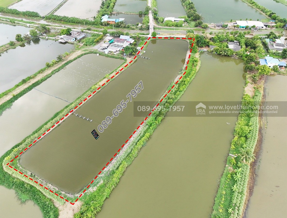 ขายที่ดิน+บ่อเลี้ยงปลา ย่านบางบ่อ 3-1-72.7 ไร่ ใกล้ รพ. บางเสาธง ถ.บางนา-ตราด กม.26 (ซอย ABAC) ต.บางเสาธง บางพลีใหญ่ ราคาถูกกว่าประเมินกรมที่ดิน ขายขาดทุน !!รับคุยทุกเงื่อนไข