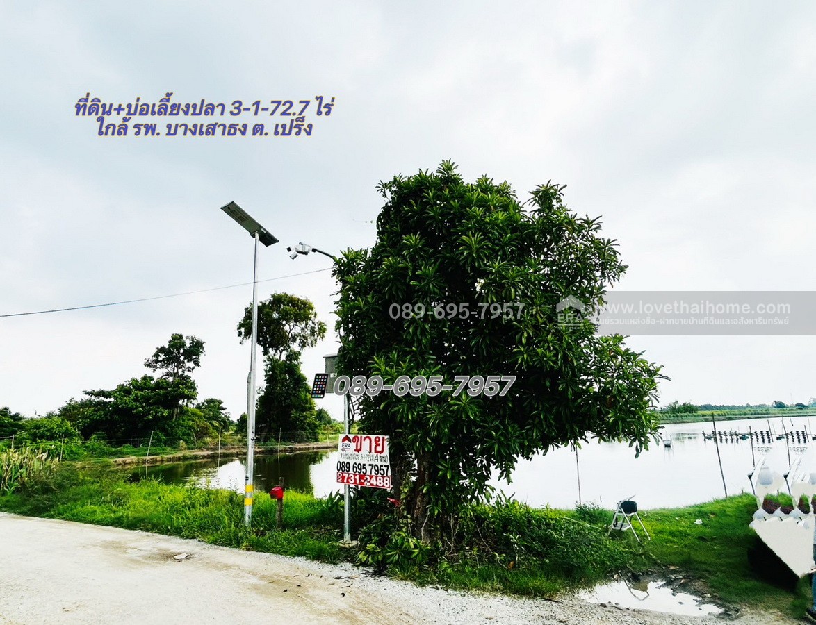 ขายที่ดิน+บ่อเลี้ยงปลา ย่านบางบ่อ 3-1-72.7 ไร่ ใกล้ รพ. บางเสาธง ถ.บางนา-ตราด กม.26 (ซอย ABAC) ต.บางเสาธง บางพลีใหญ่ ราคาถูกกว่าประเมินกรมที่ดิน ขายขาดทุน !!รับคุยทุกเงื่อนไข
