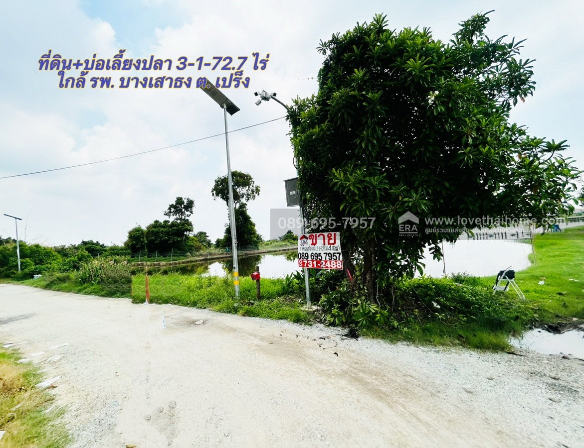 ขายที่ดิน+บ่อเลี้ยงปลา ย่านบางบ่อ 3-1-72.7 ไร่ ใกล้ รพ. บางเสาธง ถ.บางนา-ตราด กม.26 (ซอย ABAC) ต.บางเสาธง บางพลีใหญ่ ราคาถูกกว่าประเมินกรมที่ดิน ขายขาดทุน !!รับคุยทุกเงื่อนไข