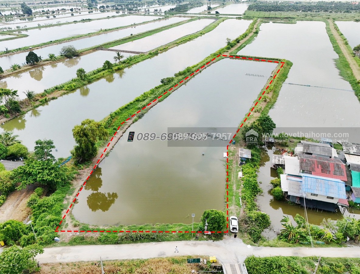 ขายที่ดิน+บ่อเลี้ยงปลา ย่านบางบ่อ 3-1-72.7 ไร่ ใกล้ รพ. บางเสาธง ถ.บางนา-ตราด กม.26 (ซอย ABAC) ต.บางเสาธง บางพลีใหญ่ ราคาถูกกว่าประเมินกรมที่ดิน ขายขาดทุน !!รับคุยทุกเงื่อนไข