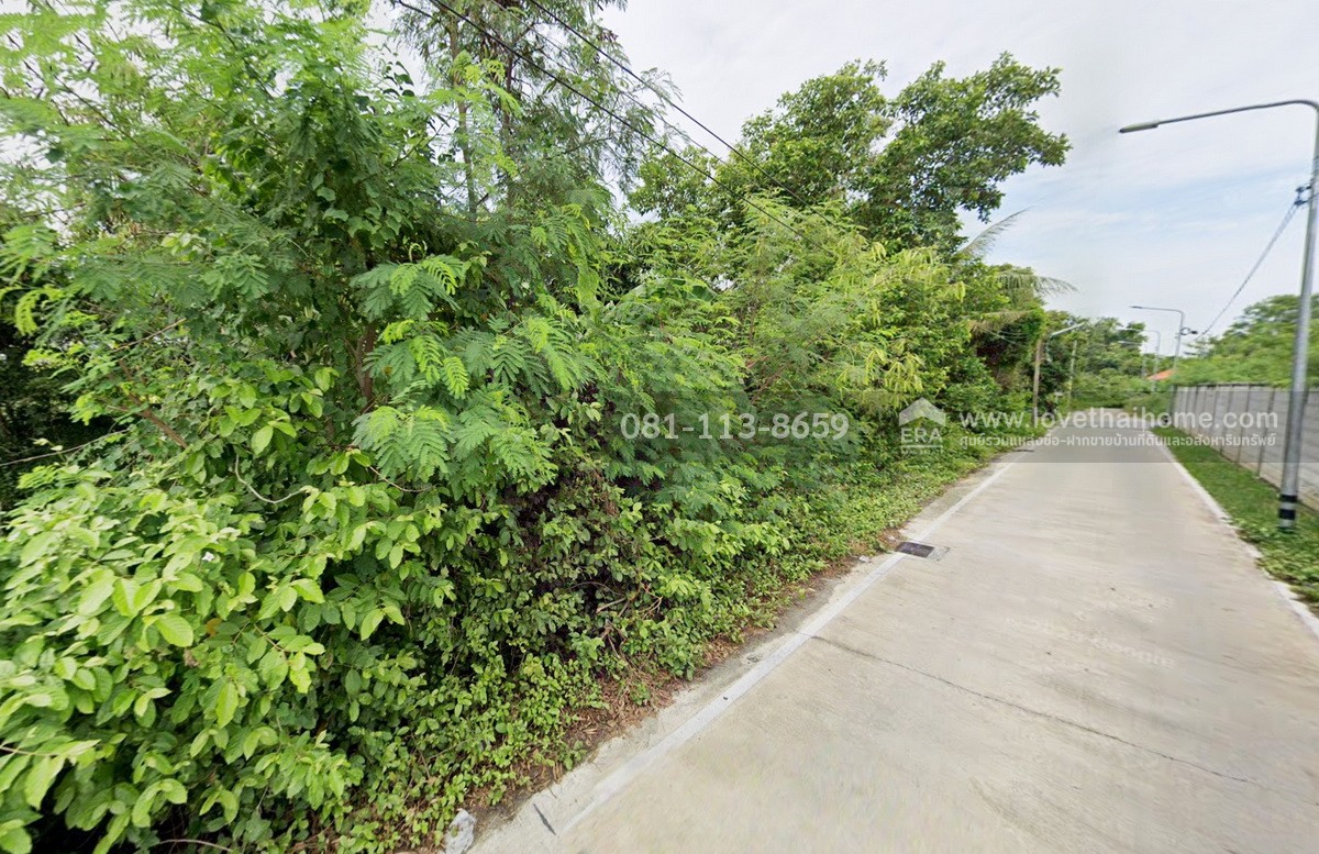 ขายที่ดิน รังสิต ธัญบุรี คลอง6 ซอยบัญชา-ปราณี เนื้อที่ 1 ไร่ 81 ตรว.ซอยฝั่งตรงข้ามมหาวิทยาลัยราชมงคลธัญบุรี ผังสีชมพู เหมาะสร้างที่อยู่อาศัย